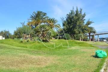 Intervención en la pradera pública de césped de Las Remudas (Foto TA)